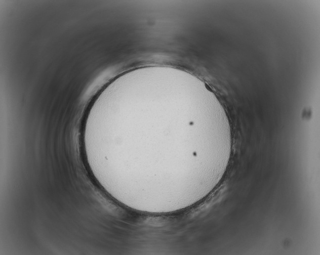 X0000100360341200807031843