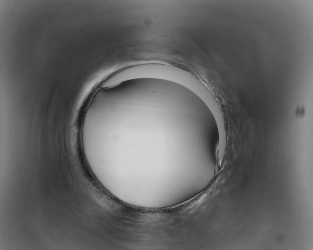 X0000100360342200807031843