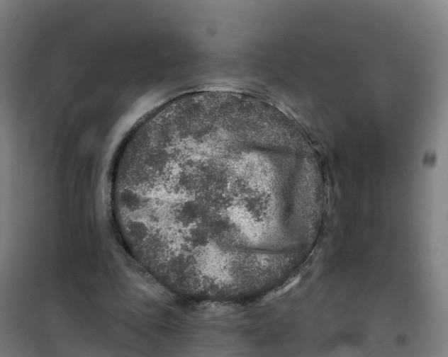 X0000100360343200807031843