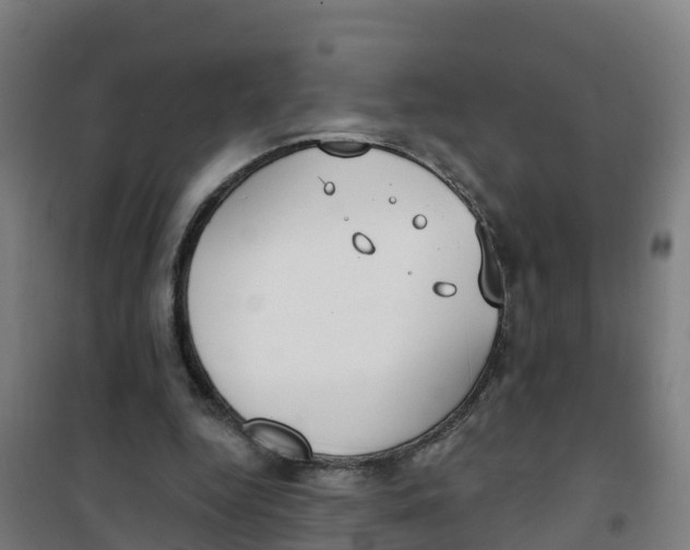 X0000100360344200807031843