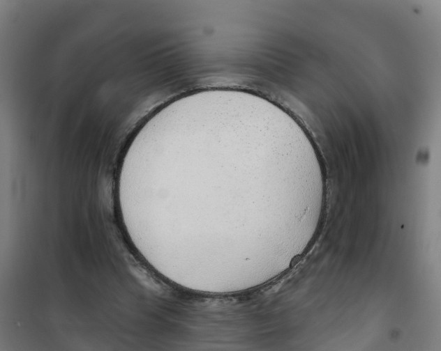 X0000100360345200807031843