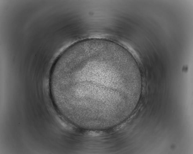 X0000100360346200807031843