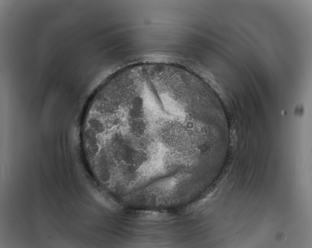 X0000100360347200807031843