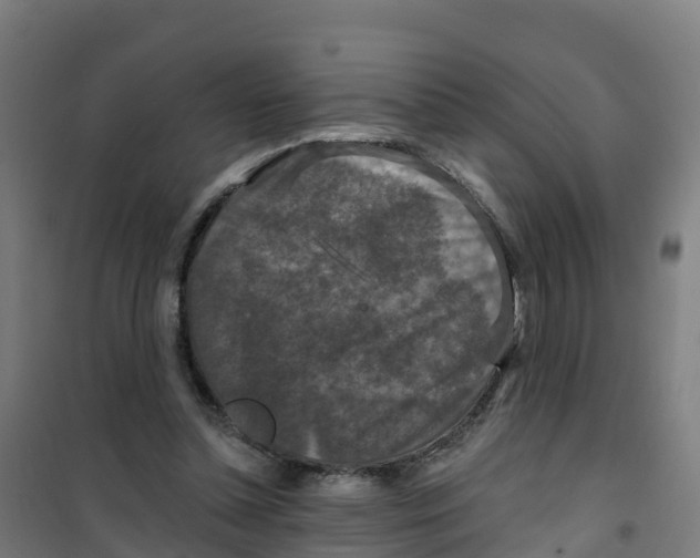 X0000100360348200807031843