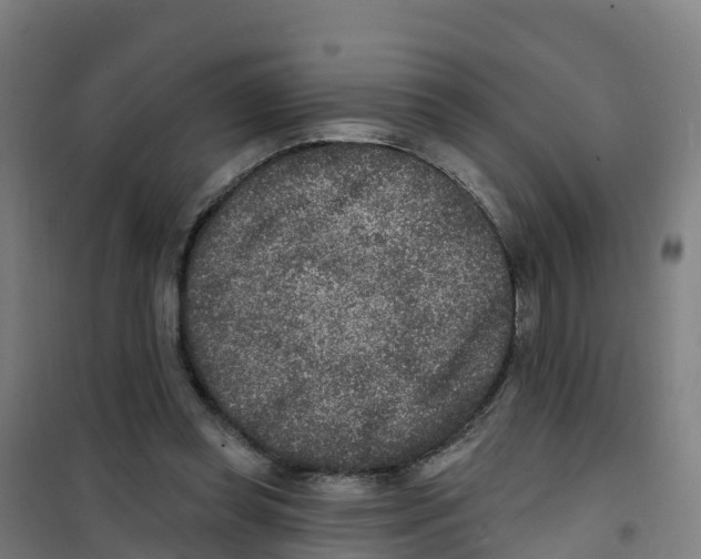 X0000100360349200807031843