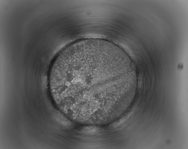 X0000100360351200807031843