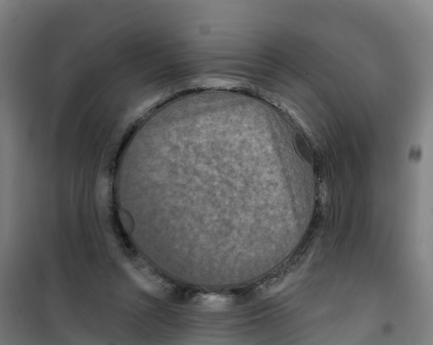 X0000100360352200807031843