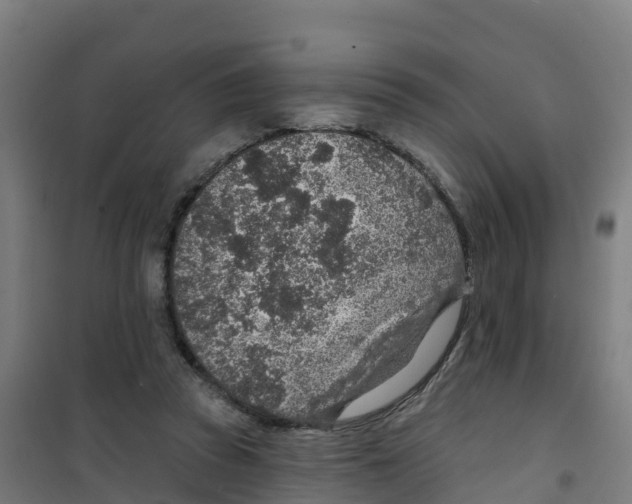 X0000100360353200807031843