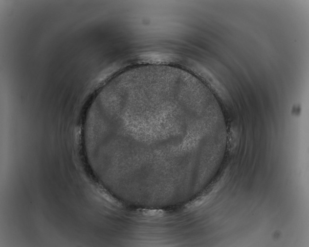 X0000100360355200807031843