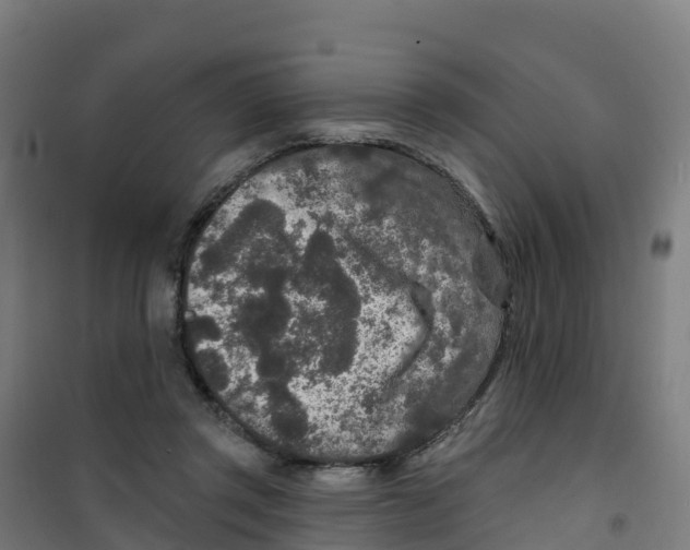 X0000100360357200807031843