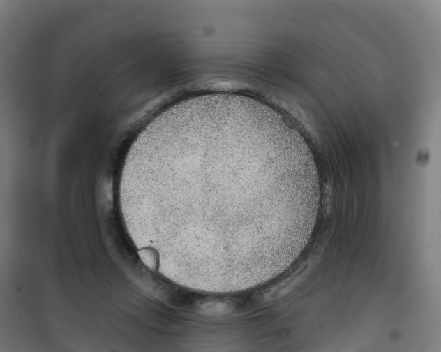 X0000100360358200807031843