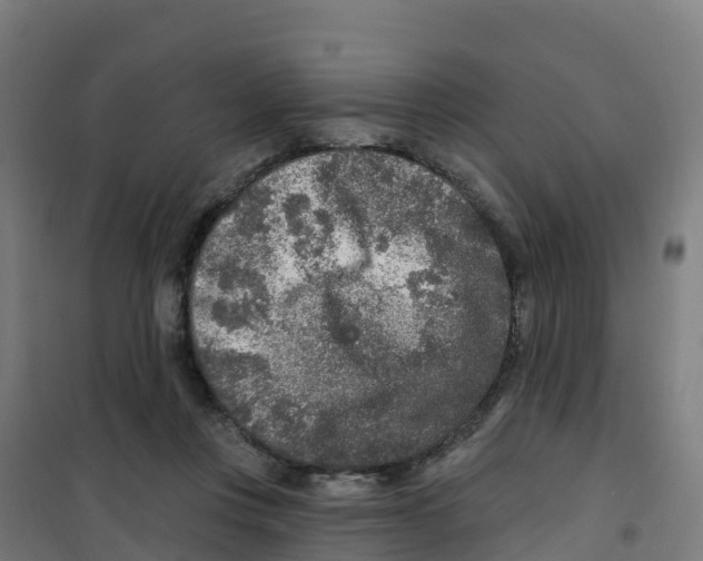 X0000100360359200807031843