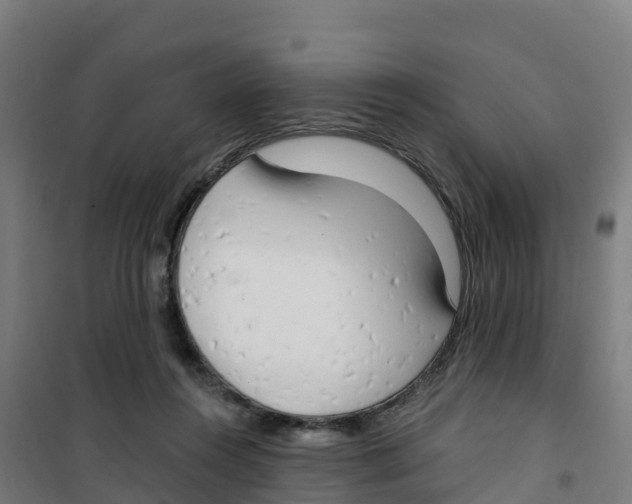 X0000100360360200807031843