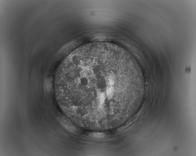 X0000100360361200807031843