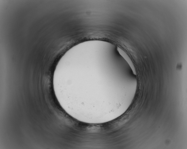 X0000100360362200807031843