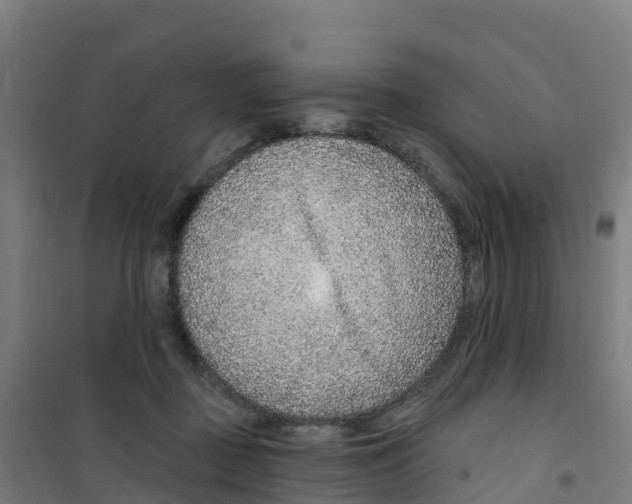 X0000100360363200807031843