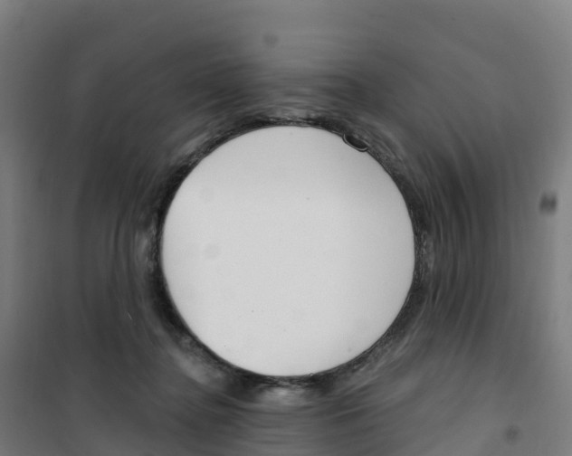 X0000100360364200807031843