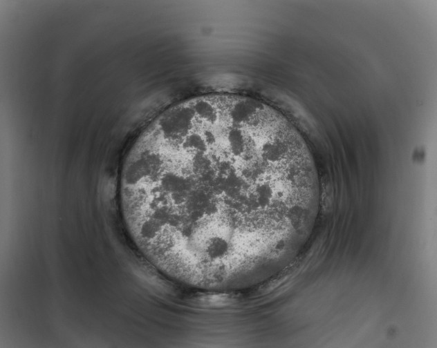 X0000100360365200807031843