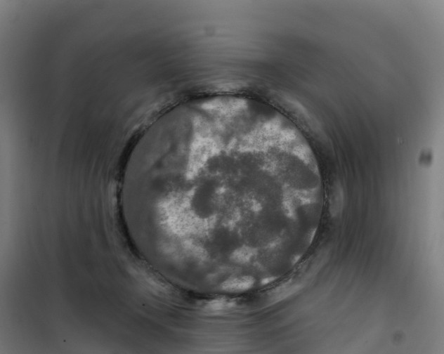 X0000100360366200807031843