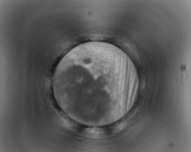 X0000100360367200807031843