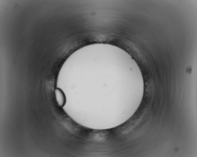 X0000100360368200807031843