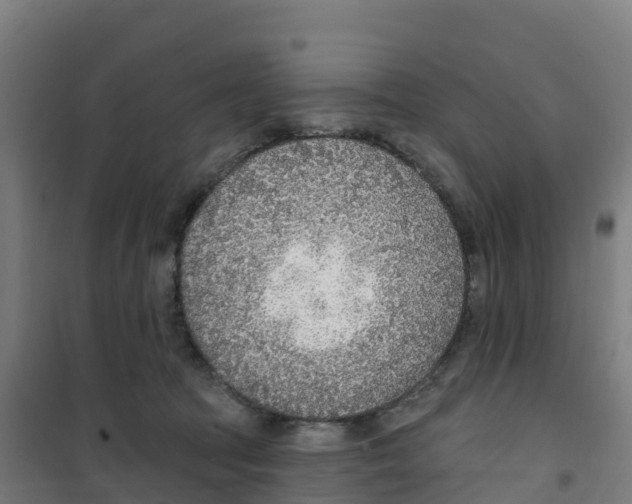 X0000100360369200807031843