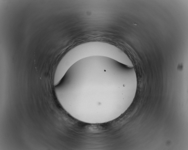 X0000100360372200807031843