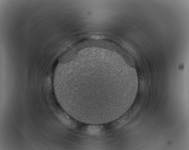 X0000100360373200807031843