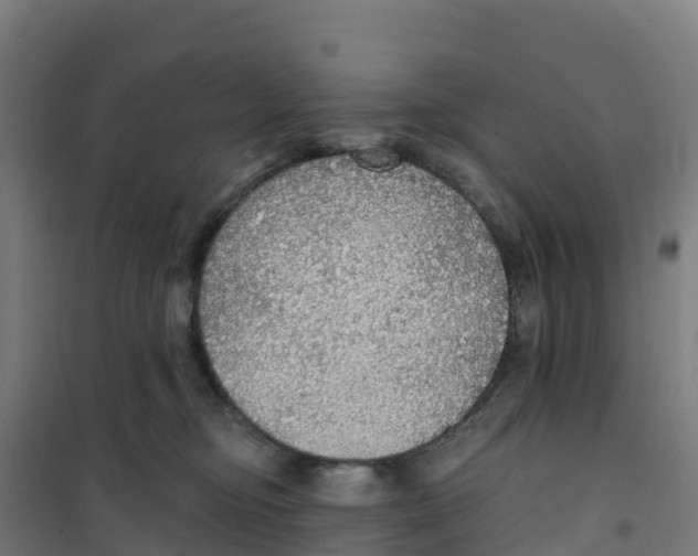 X0000100360374200807031843