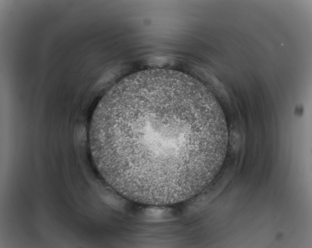 X0000100360375200807031843