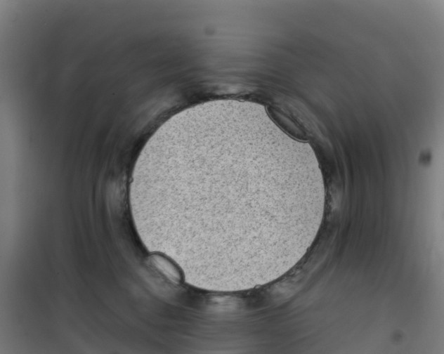 X0000100360376200807031843