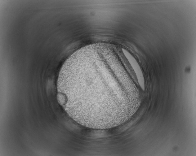 X0000100360377200807031843