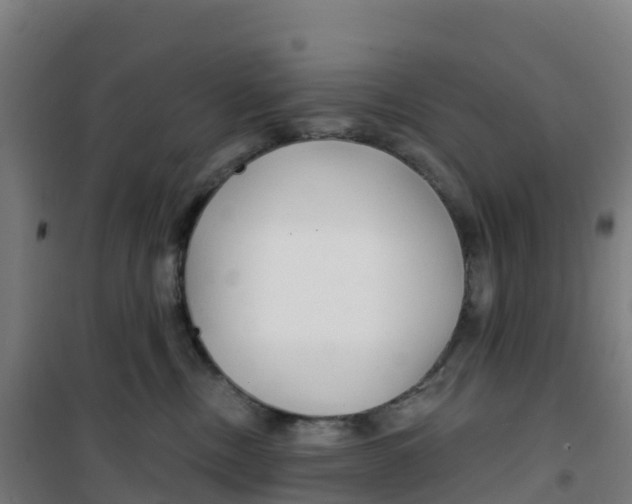 X0000100360378200807031843