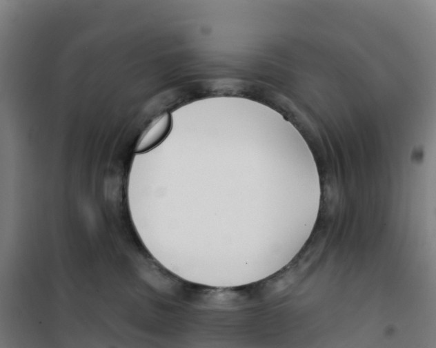 X0000100360379200807031844