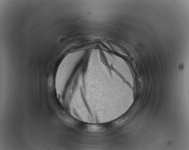 X0000100360380200807031844
