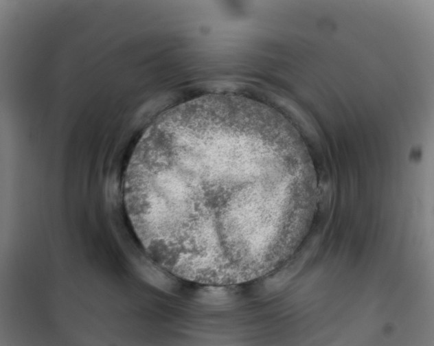 X0000100360381200807031844