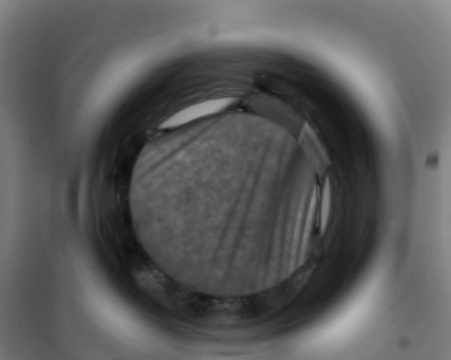 X0000100360382200807031844
