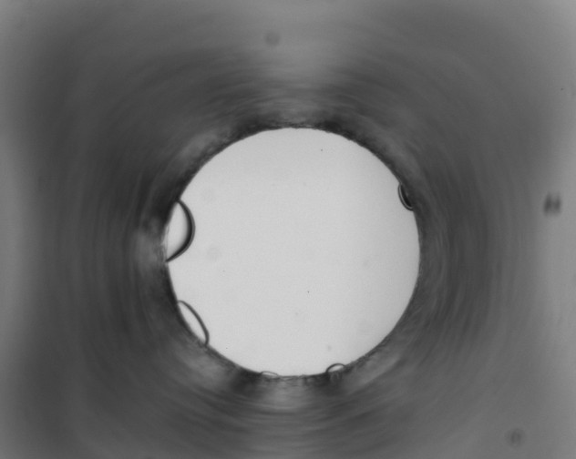 X0000100360384200807031844
