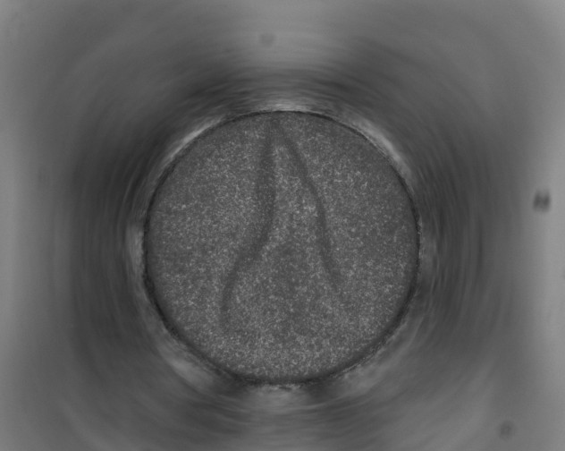 X0000100360386200807031843