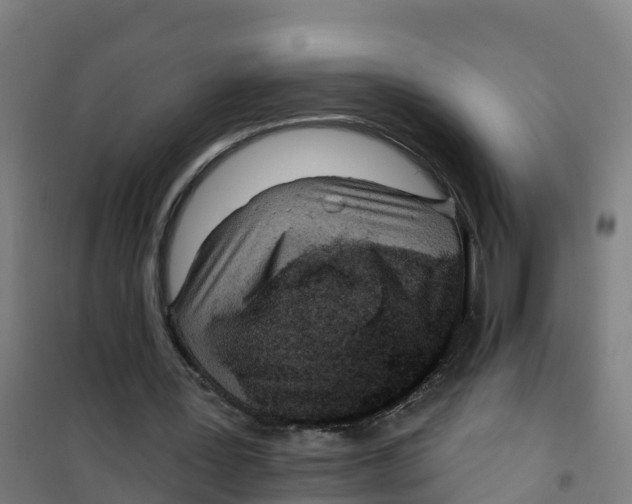 X0000100360387200807031843