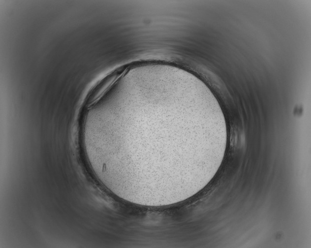 X0000100360388200807031843