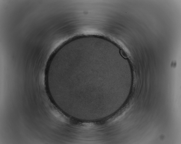 X0000100360391200807031843