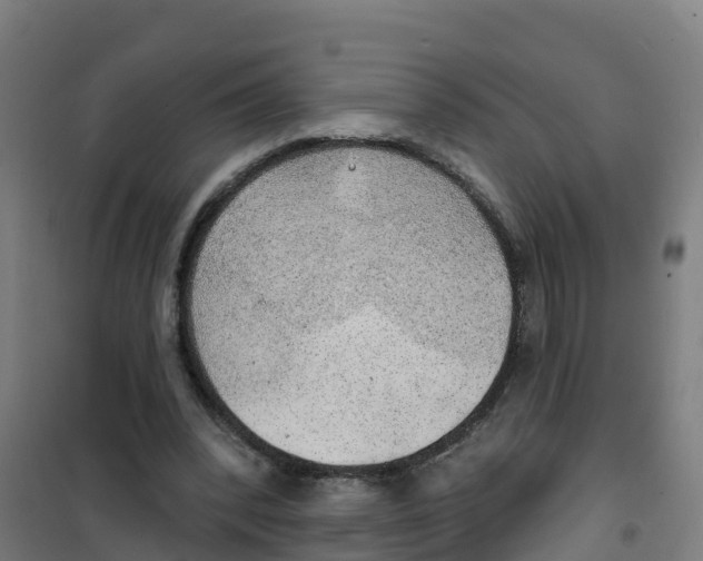 X0000100360392200807031843