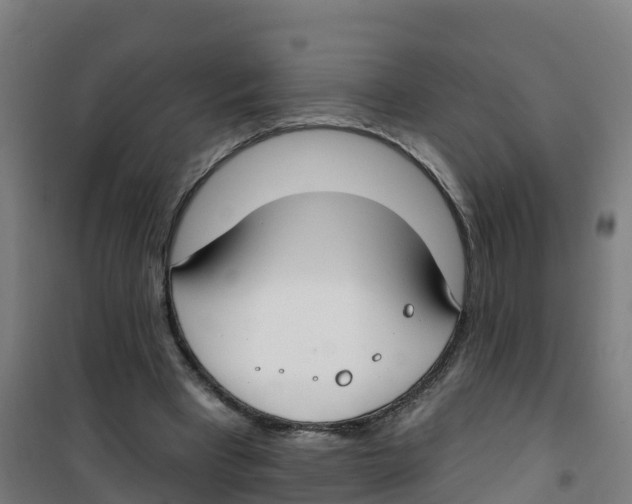 X0000100360393200807031843