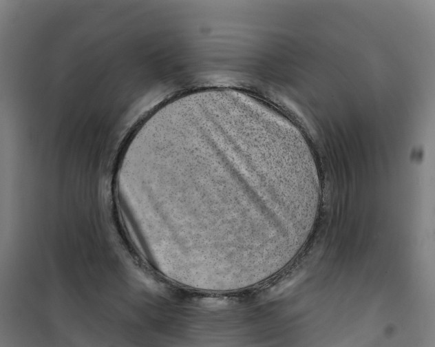 X0000100360394200807031843
