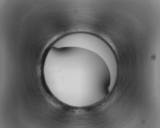 X0000100360395200807031843