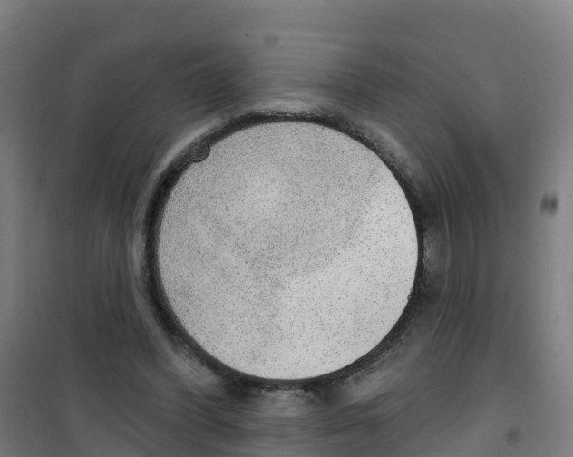 X0000100360396200807031843