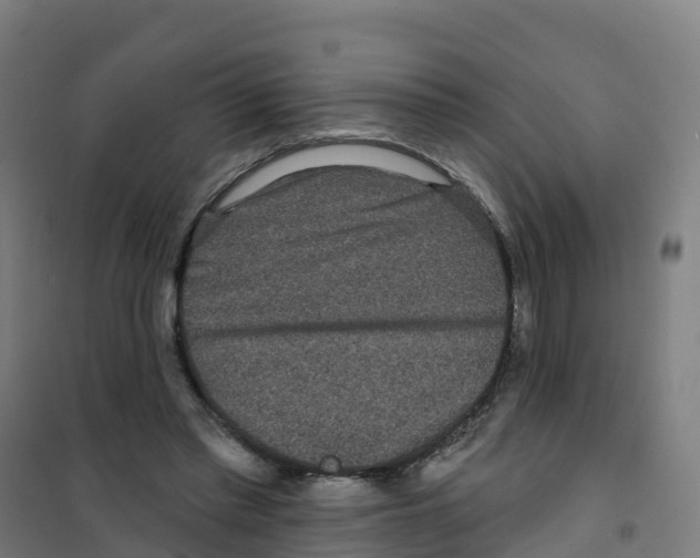 X0000100360397200807031843