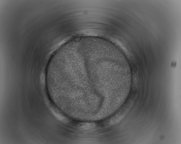 X0000100360398200807031843
