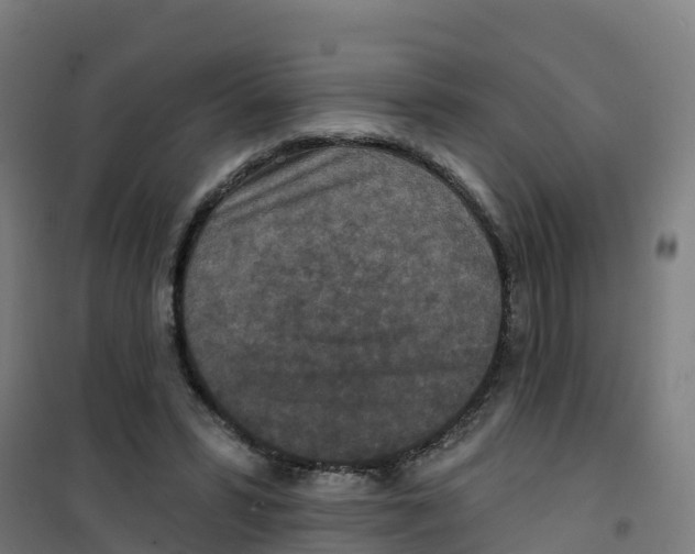 X0000100360399200807031843
